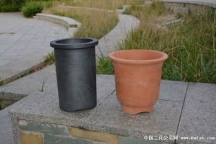 精品中號(hào)帶沿直筒盆 實(shí)用與美觀兼?zhèn)涞奶m花種植選擇