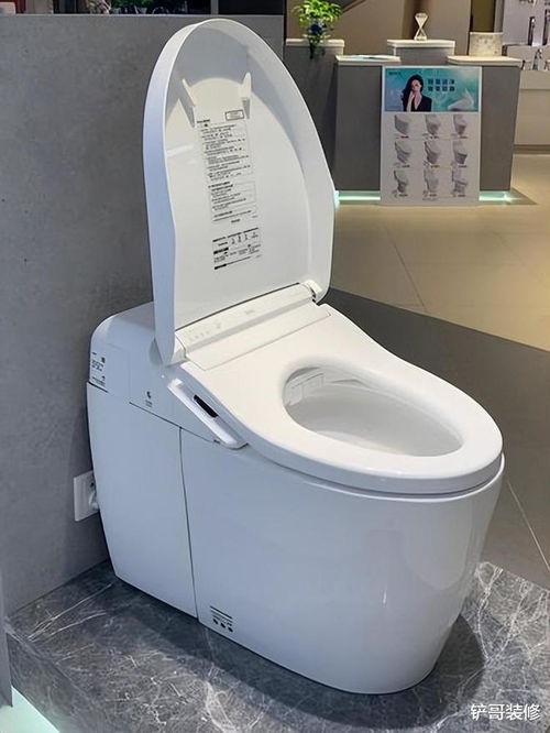 從紅極一時(shí)到漸被冷落 智能馬桶與立柱盆的體驗(yàn)反思